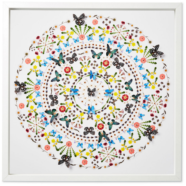 Flower and Butterfly Pattern, summer colors
