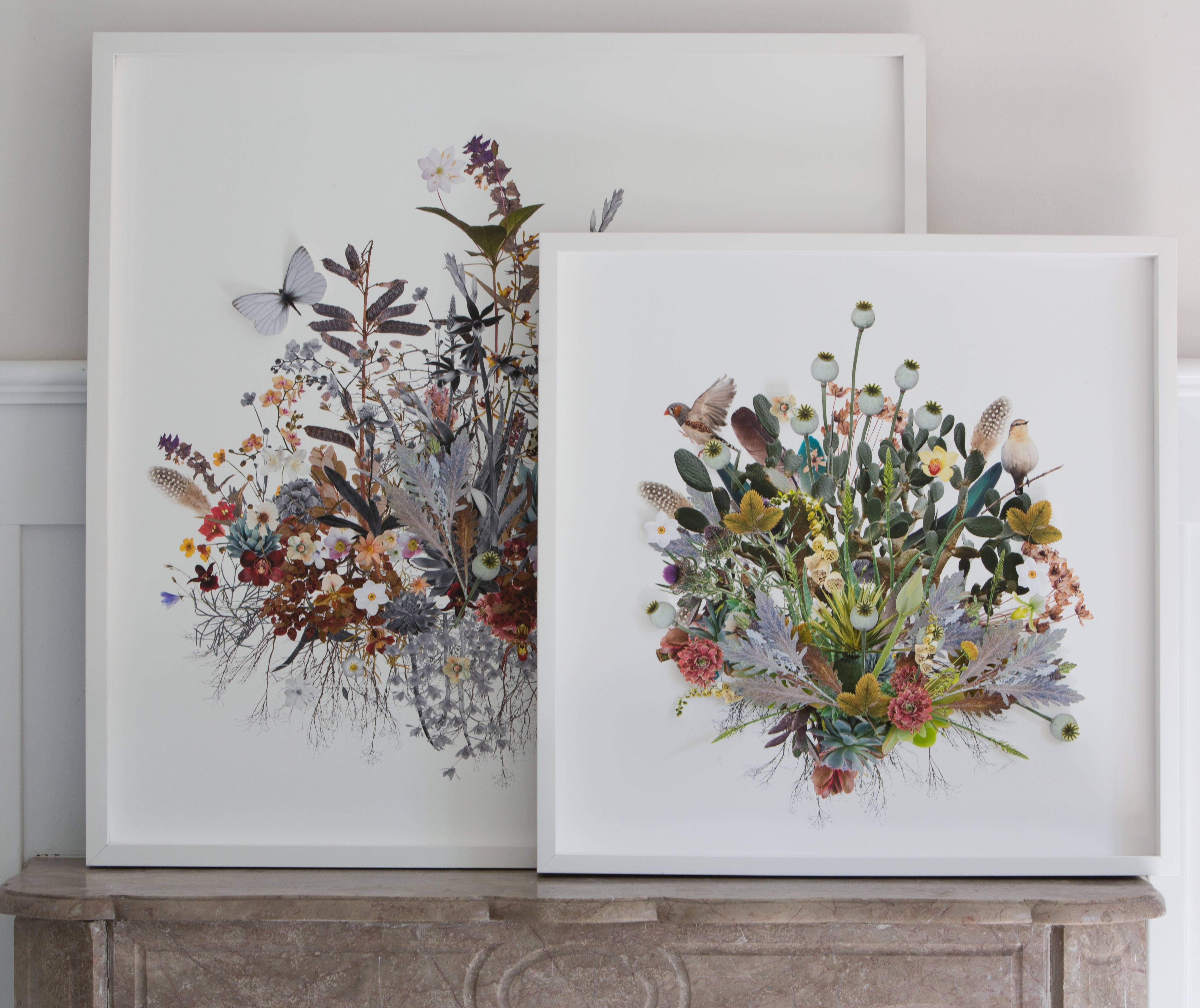 small Plant Montage: Birds