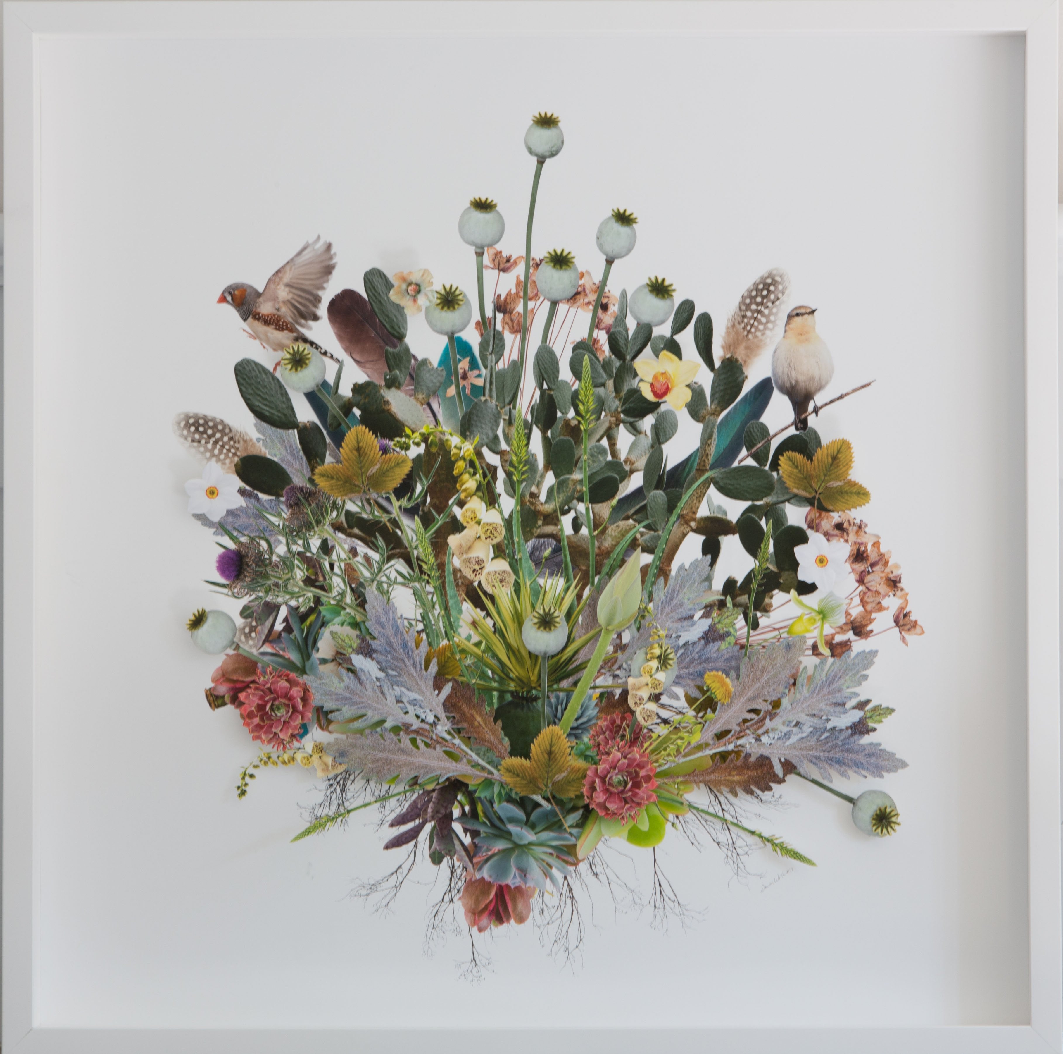 small Plant Montage: Birds