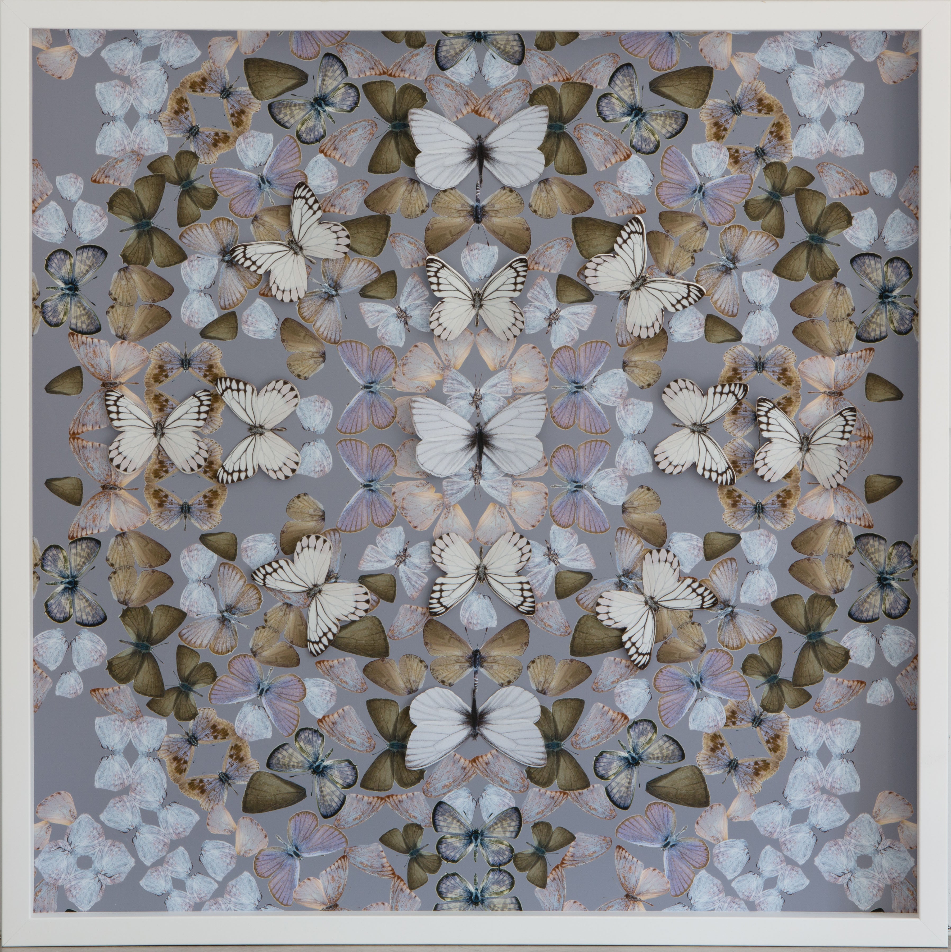 Flower and Butterfly Collages