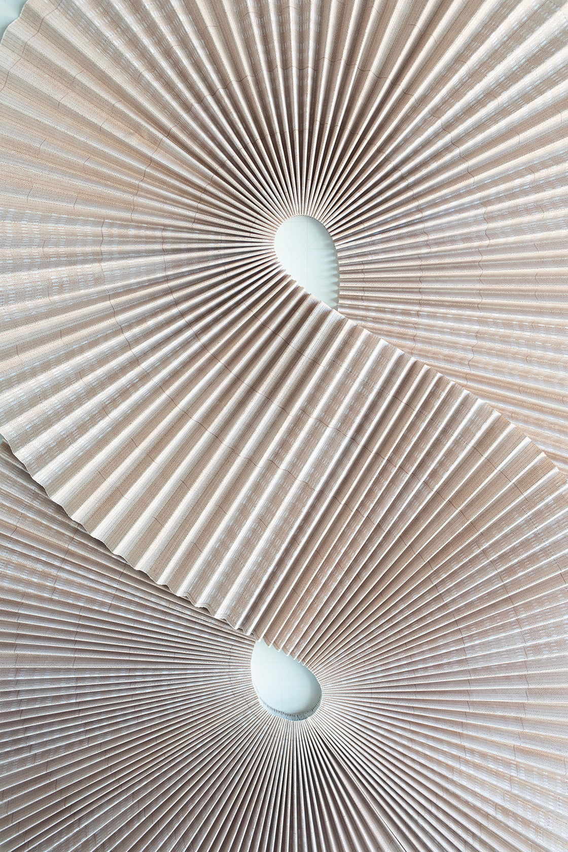 1 Abstract Blush Pleats