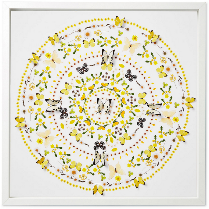 Flower and Butterfly Circle, yellow