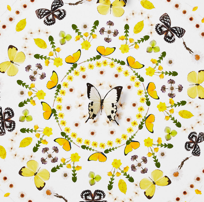 Flower and Butterfly Circle, yellow