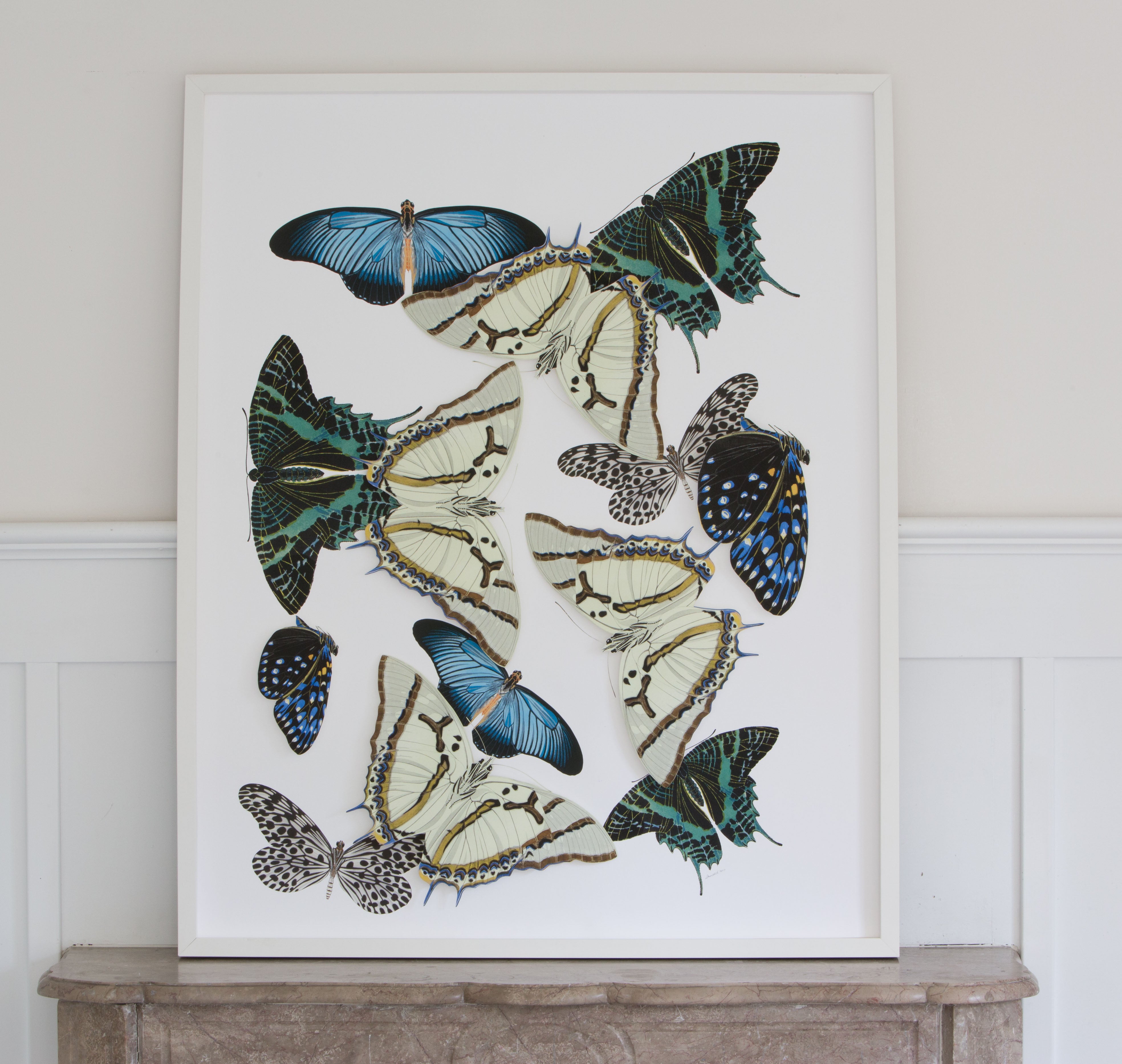 Large Butterfly and Moth Collage: Blue