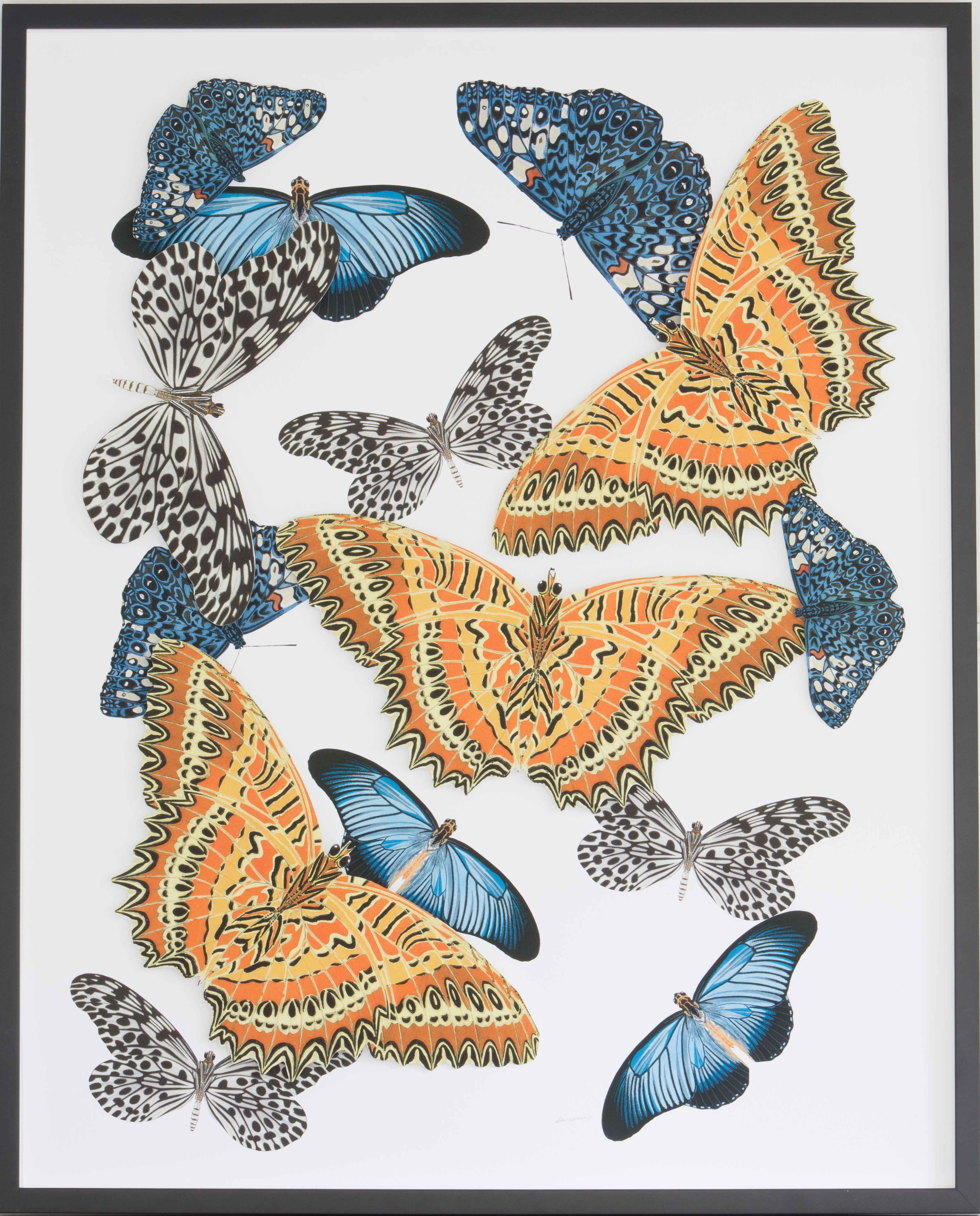 Large Butterfly and  Collage #2