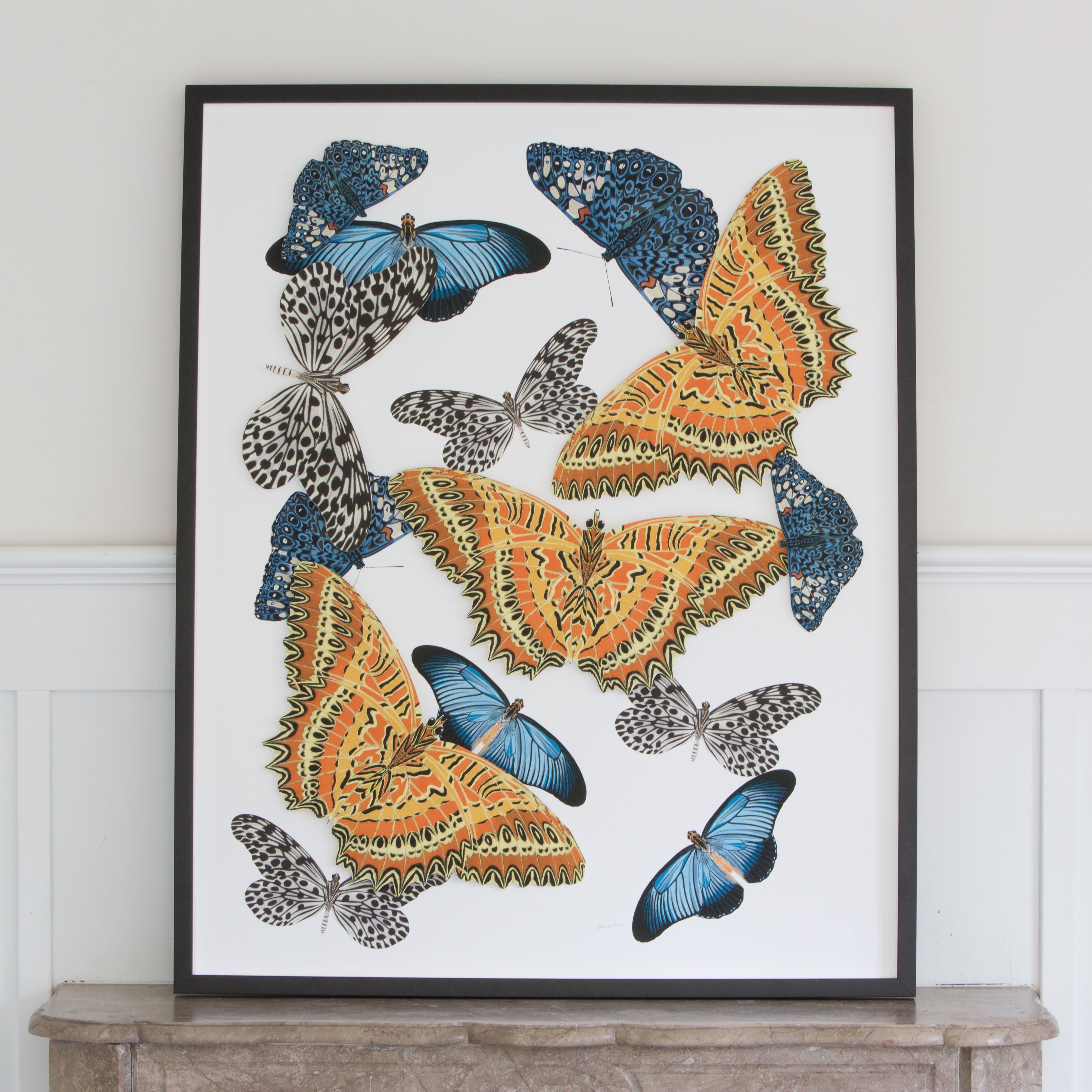 Large Butterfly and  Collage #2