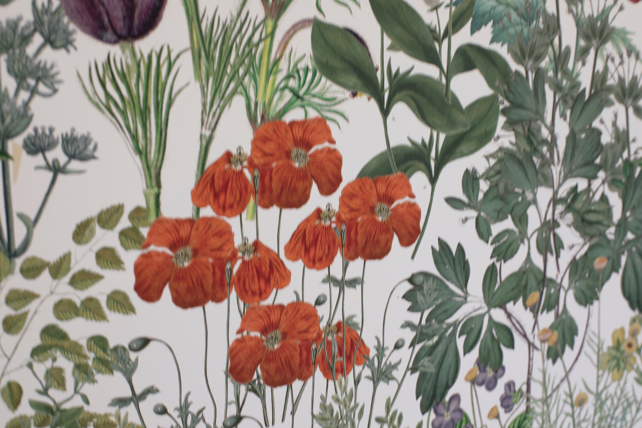 Chinoiserie Garden Collage